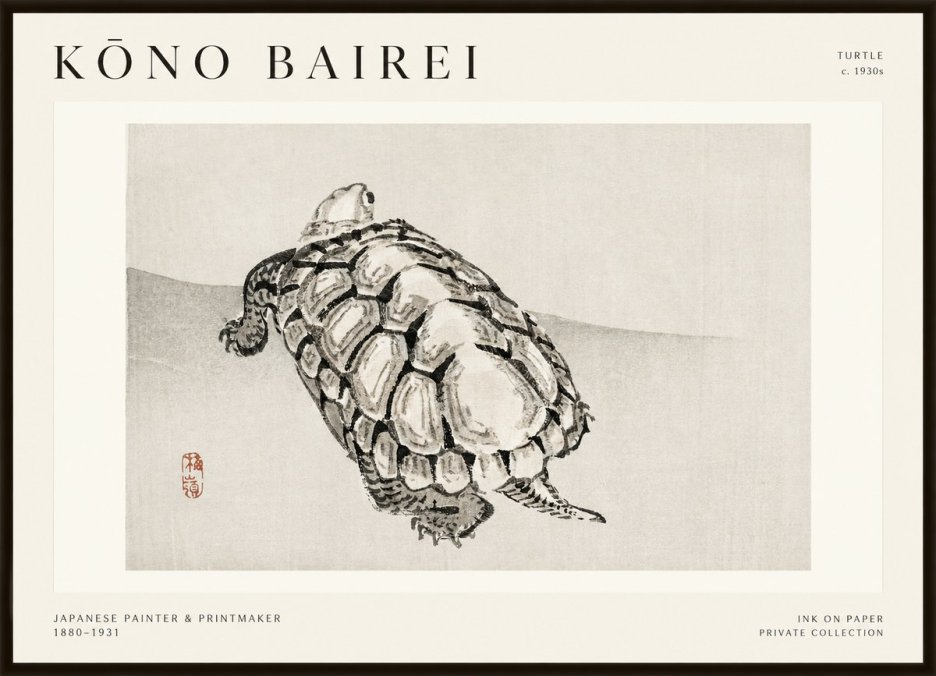Kōno Bairei Turtle No1 - Poszter