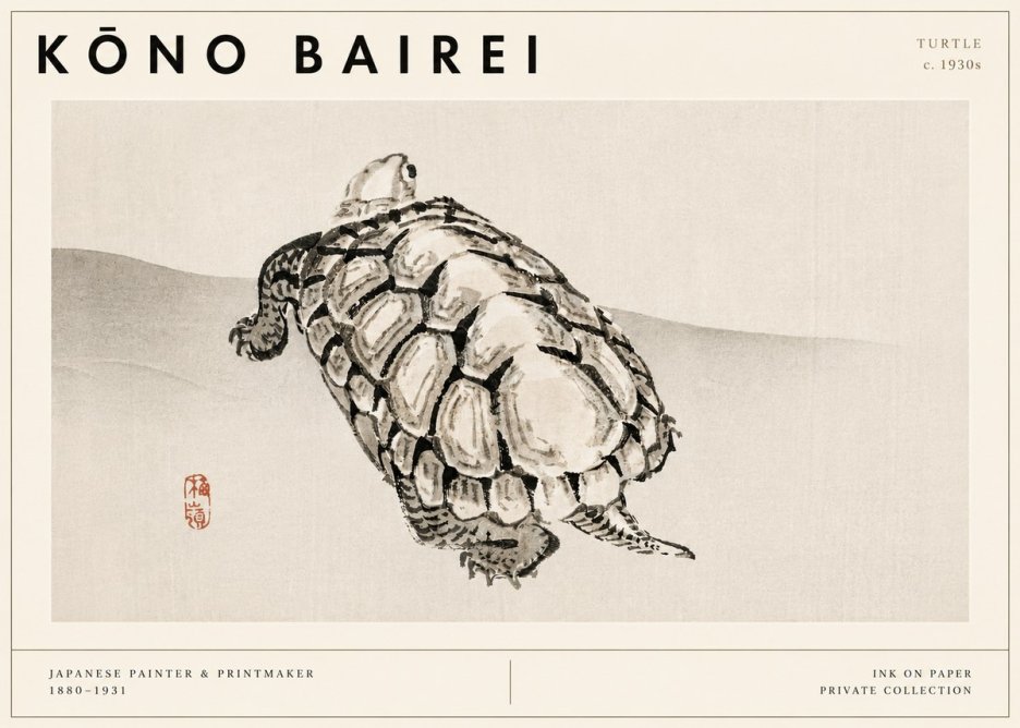 Kōno Bairei Turtle No3 - Poszter