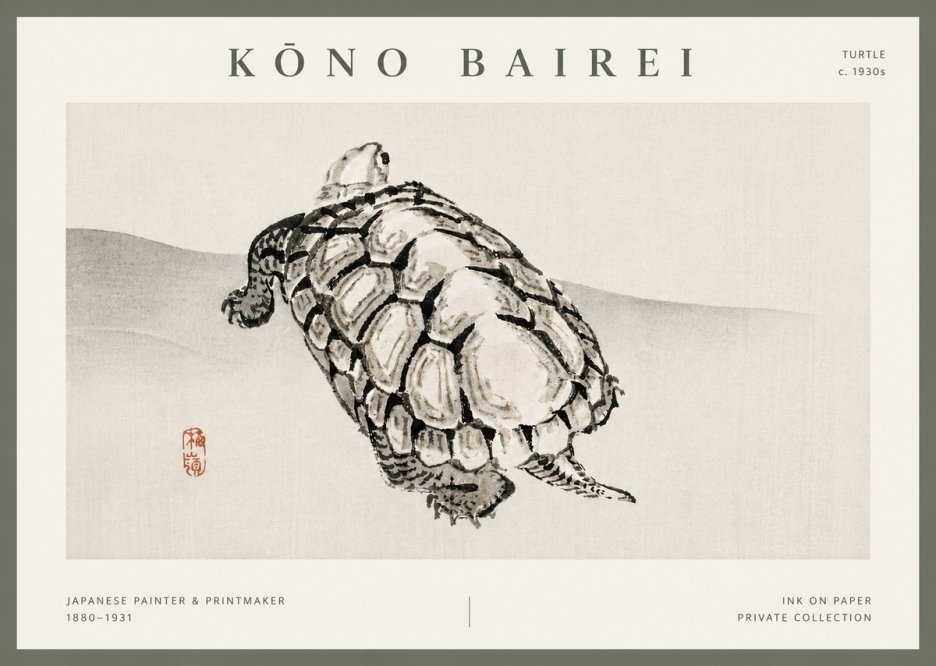 Kōno Bairei Turtle No5 - Poszter