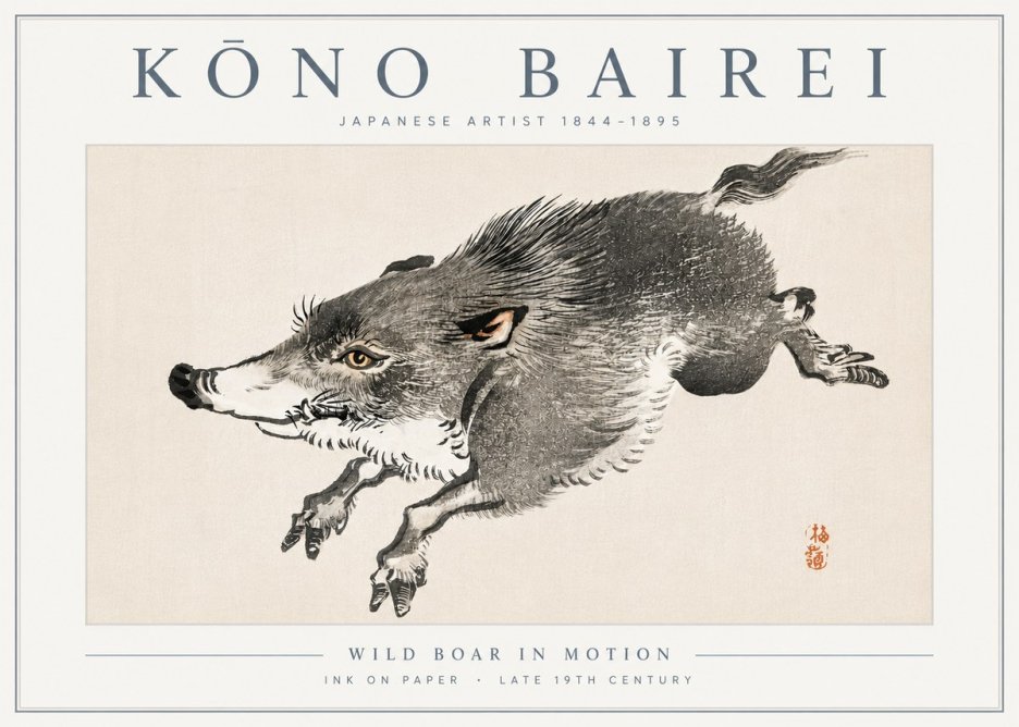Kōno Bairei Wild Boar in Motion No6 - Poszter