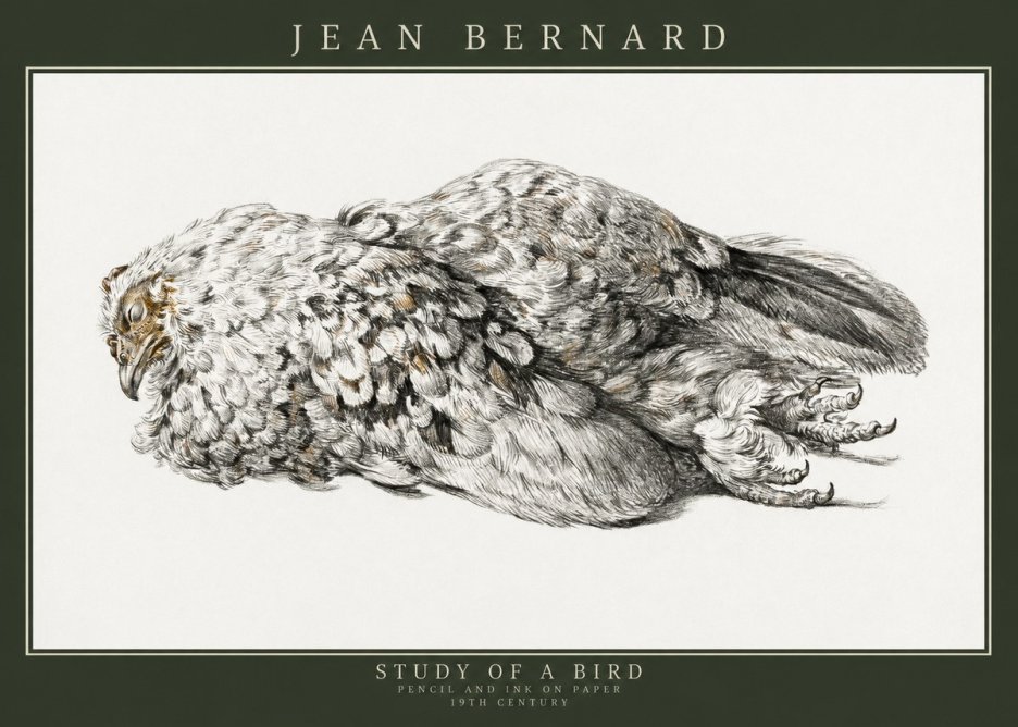 Jean Bernard Study of a Bird I No3 - Poszter