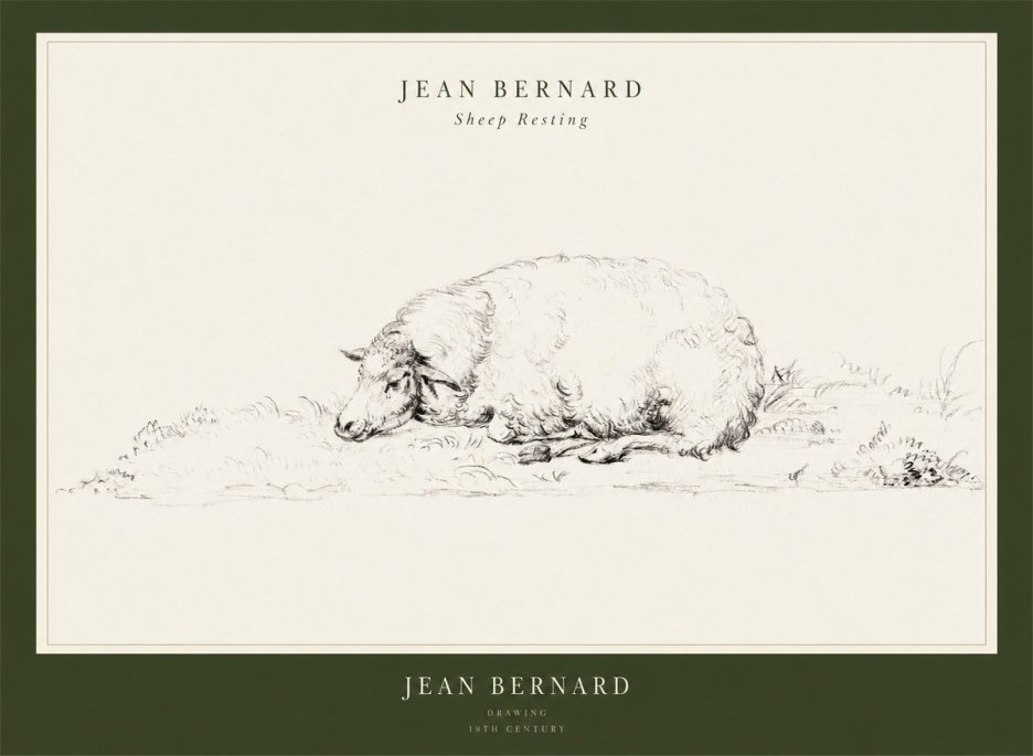 Jean Bernard Sheep Resting on the Ground No3 - Poszter
