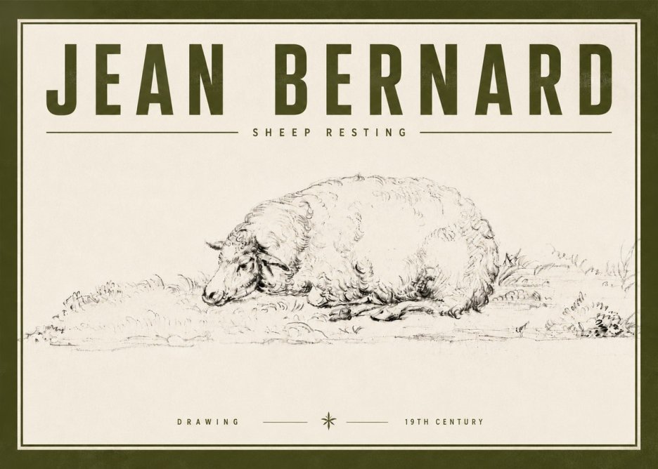 Jean Bernard Sheep Resting on the Ground No6 - Poszter