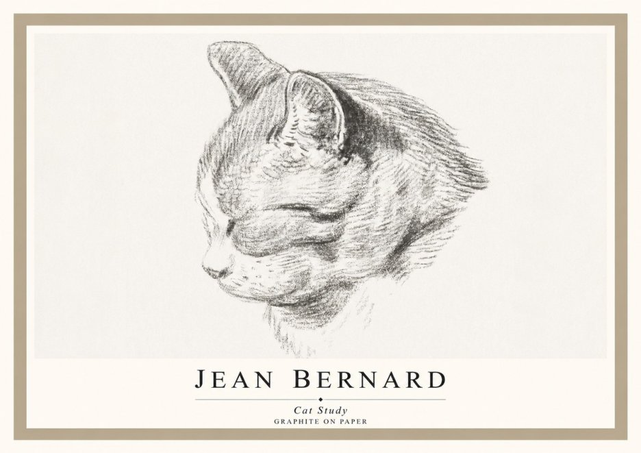 Jean Bernard Cat Study I No1 - Poszter