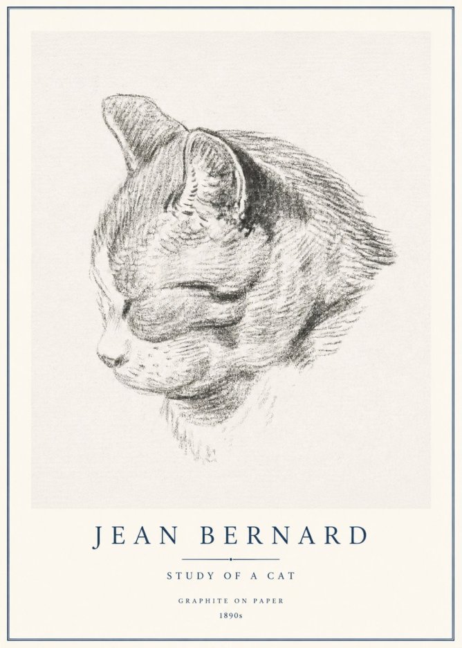 Jean Bernard Cat Study I No3 - Poszter