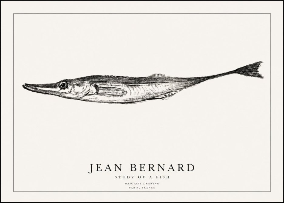 Jean Bernard Study of a Fish I No1 - Poszter