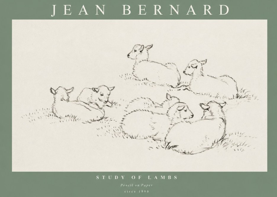 Jean Bernard Study of Lambs No1 - Poszter