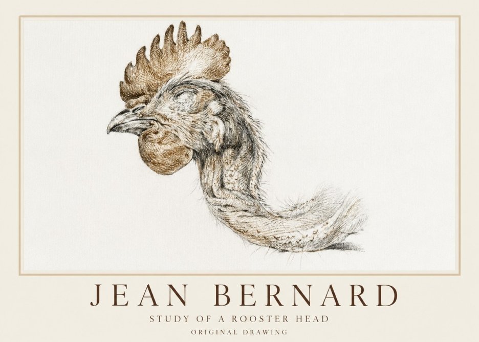Jean Bernard Study of a Rooster Head No1 - Poszter