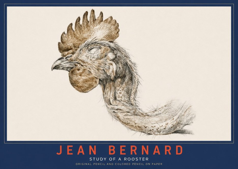 Jean Bernard Study of a Rooster Head No3 - Poszter