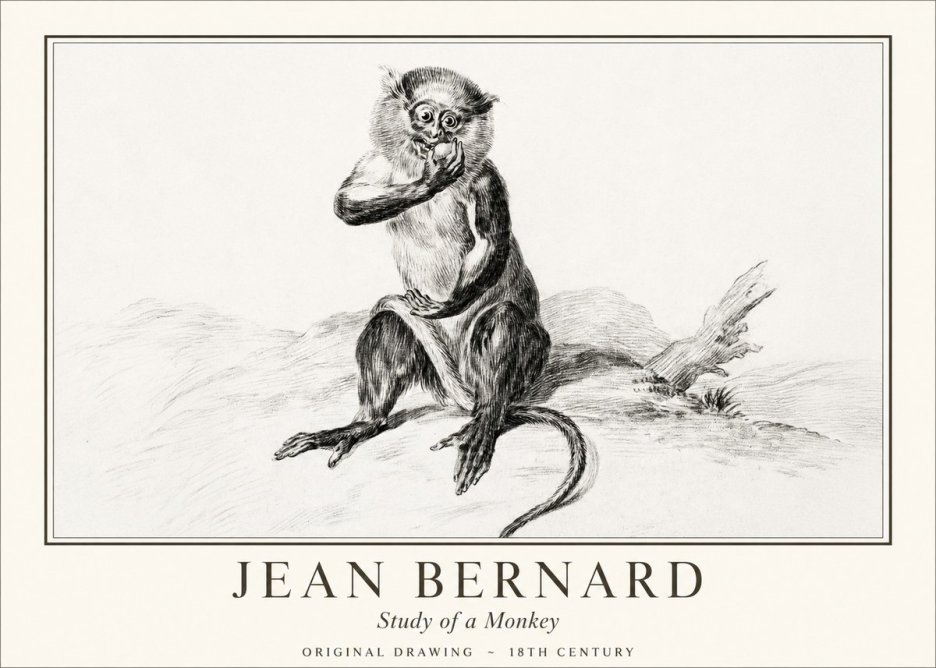 Jean Bernard Study of a Monkey No1 - Poszter
