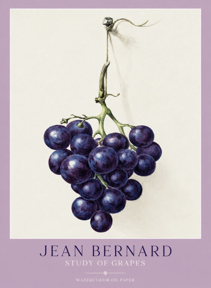 Jean Bernard Grapes No2 - Poszter
