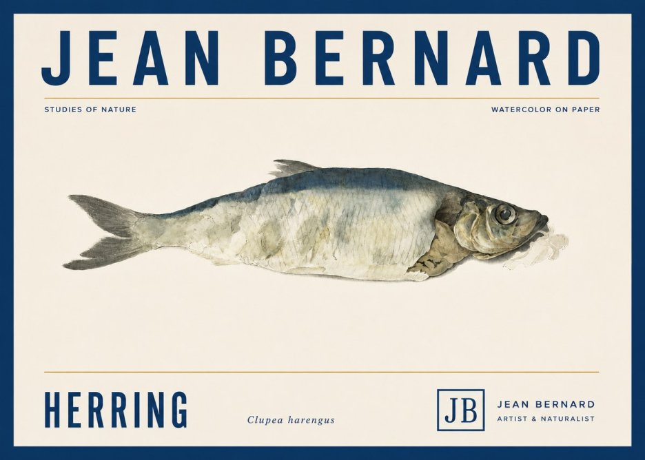 Jean Bernard Herring No5 - Poszter