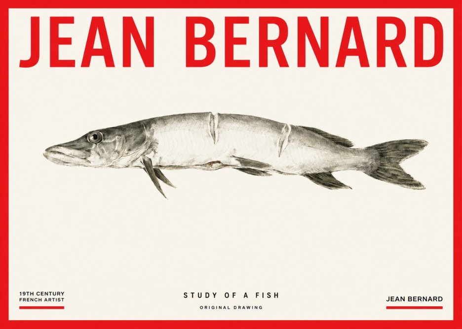 Jean Bernard Study of a Fish II No3 - Poszter