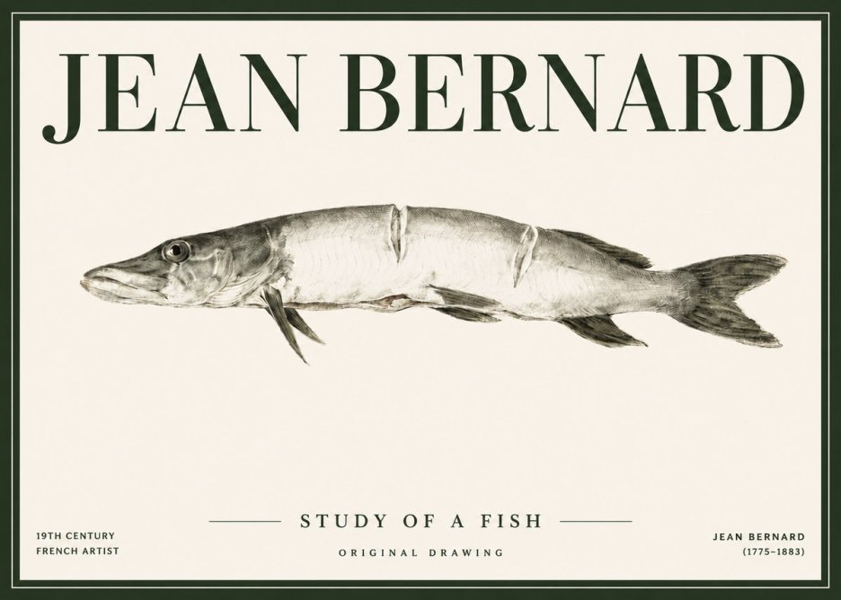 Jean Bernard Study of a Fish II No4 - Poszter