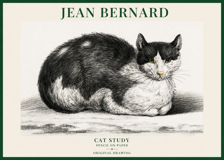 Jean Bernard Cat Study II No6 - Poszter