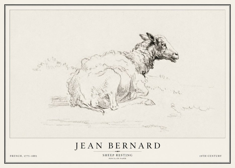 Jean Bernard Sheep Resting No1 - Poszter