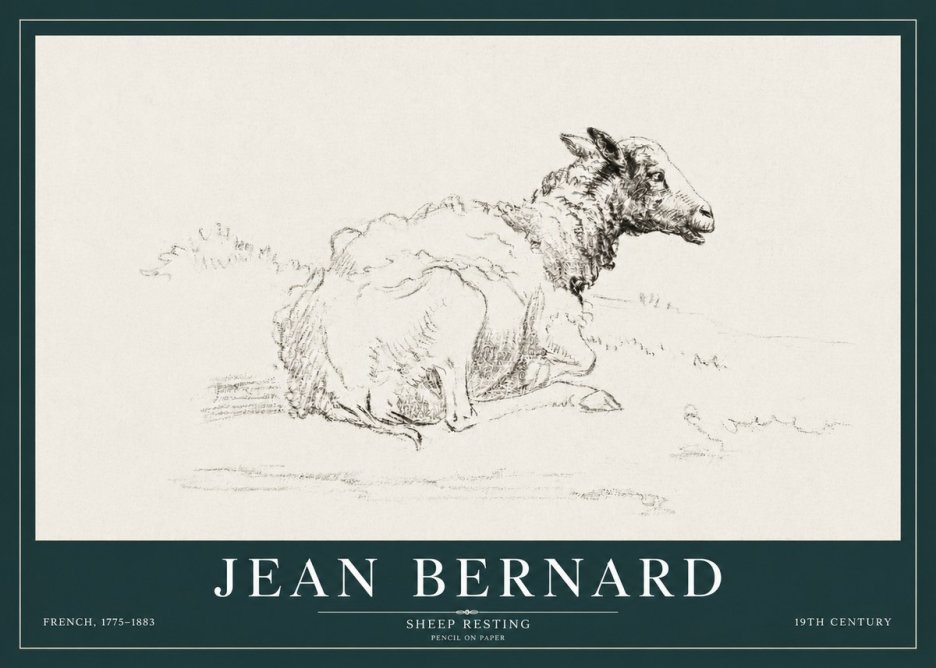 Jean Bernard Sheep Resting No3 - Poszter