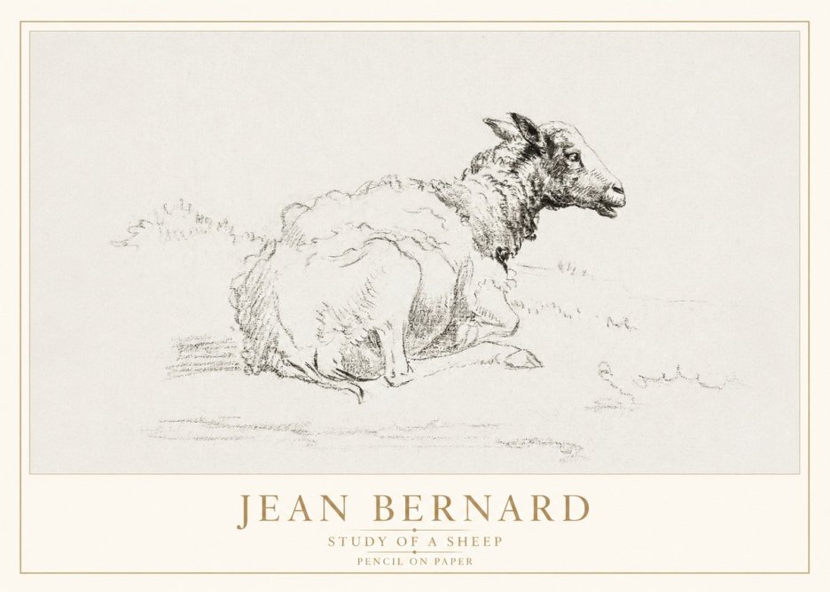 Jean Bernard Sheep Resting No4 - Poszter