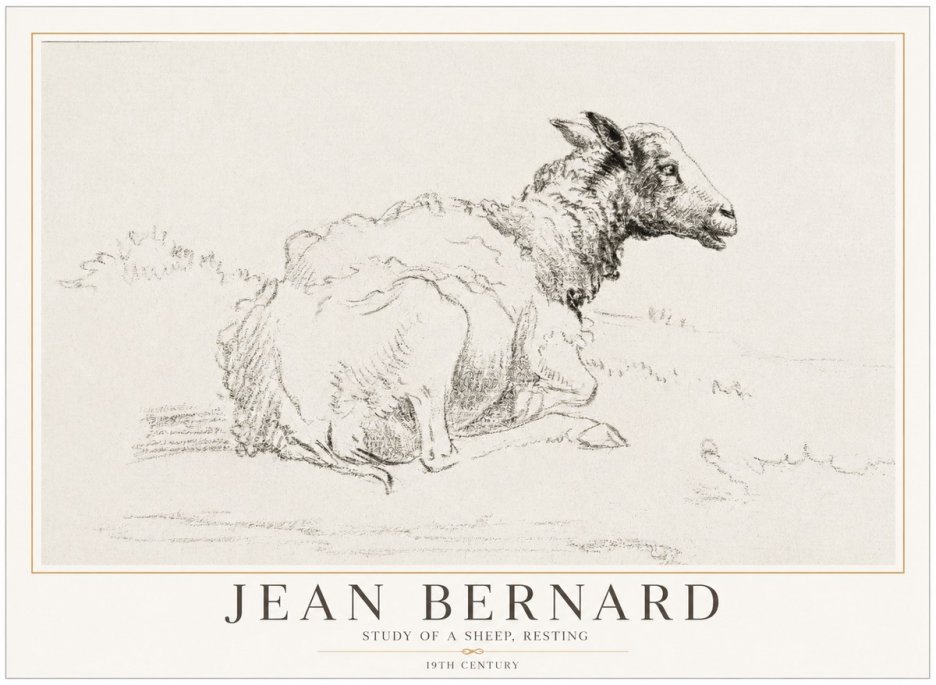 Jean Bernard Sheep Resting No5 - Poszter