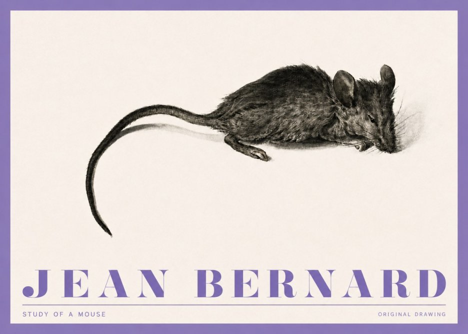 Jean Bernard Study of a Mouse I No4 - Poszter