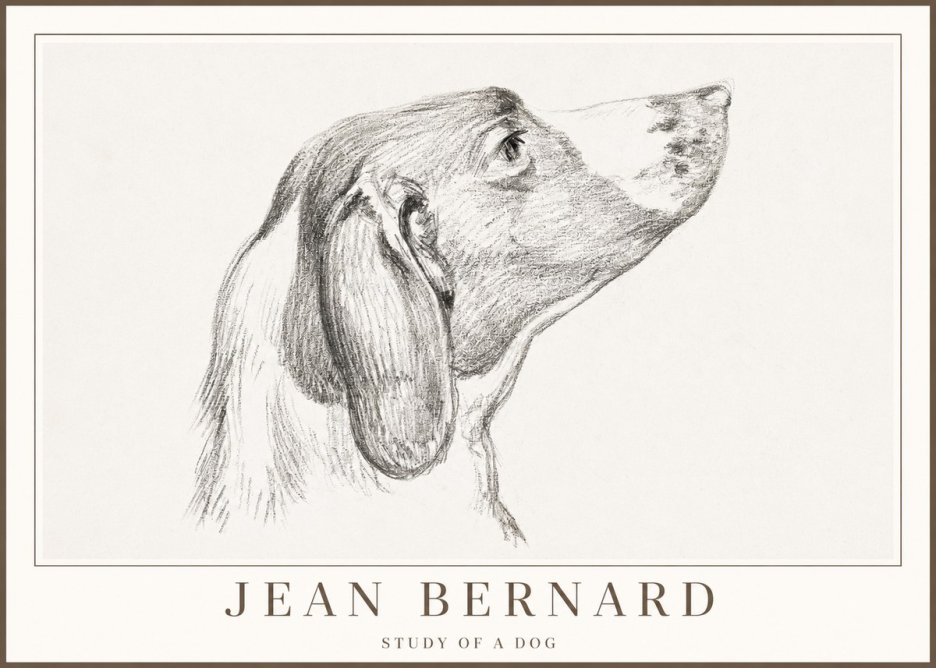 Jean Bernard Study of a Dog I No2 - Poszter