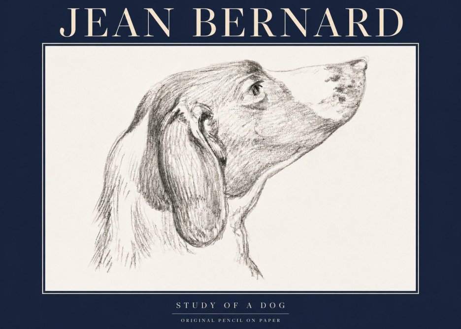 Jean Bernard Study of a Dog I No4 - Poszter