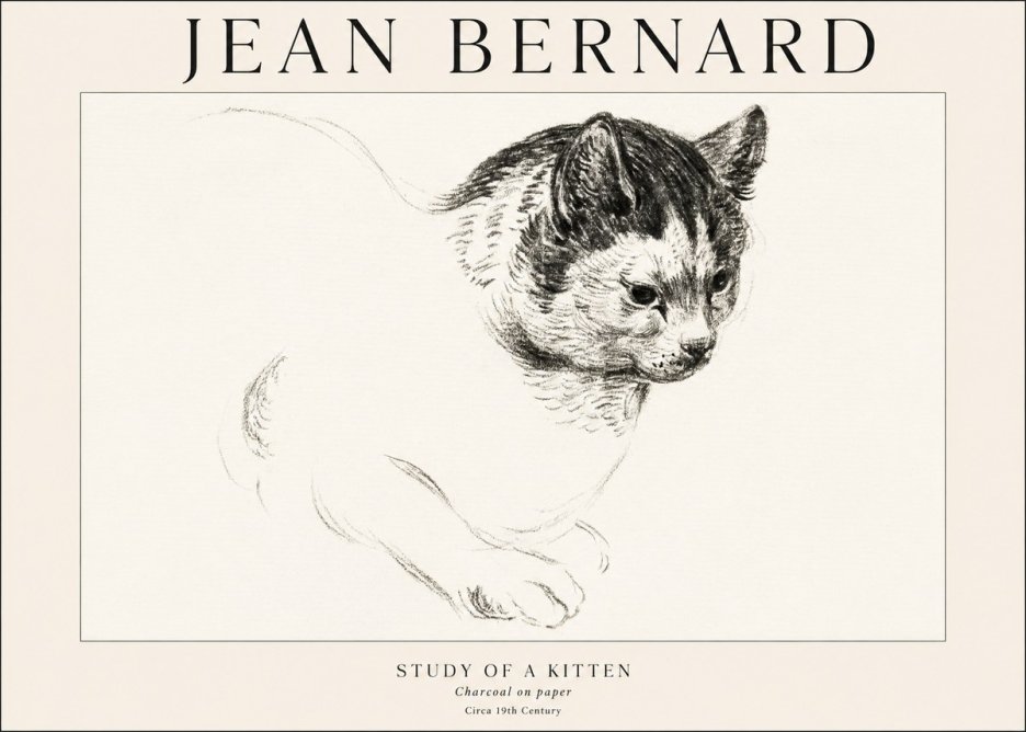 Jean Bernard Study of a Kitten I No1 - Poszter