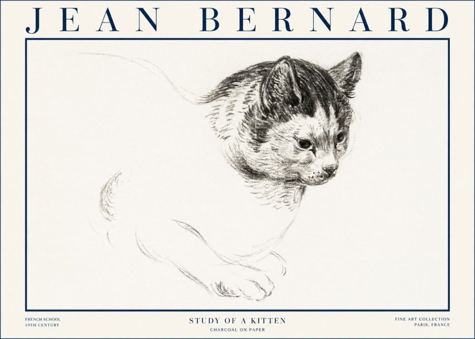 Jean Bernard Study of a Kitten I No4 - Poszter
