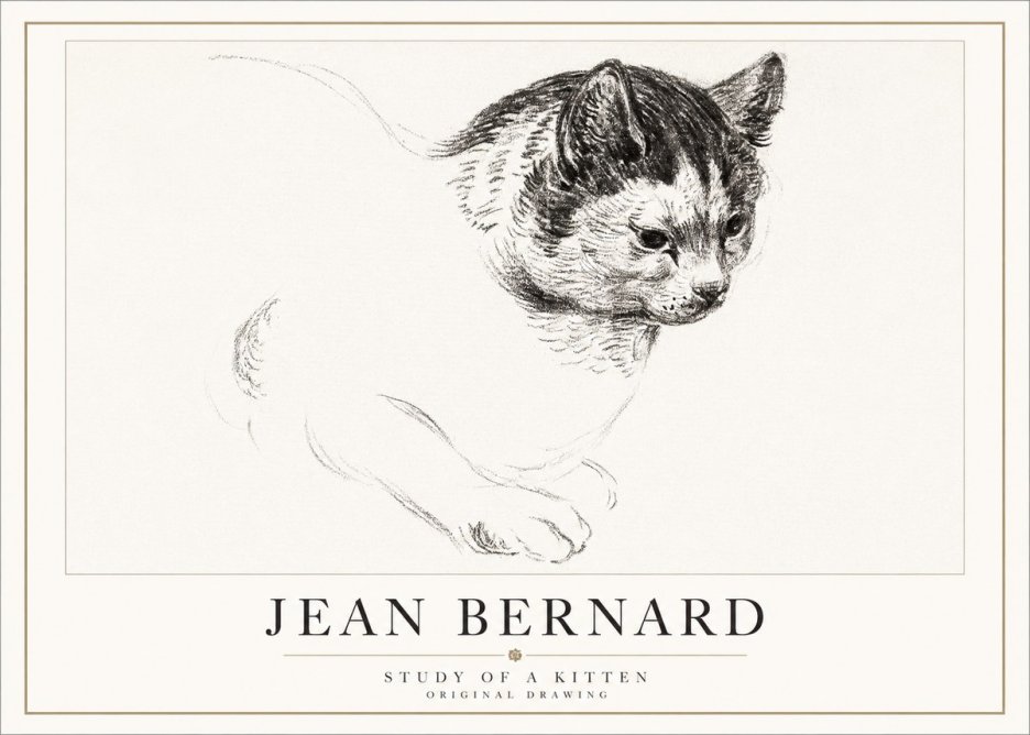 Jean Bernard Study of a Kitten I No5 - Poszter