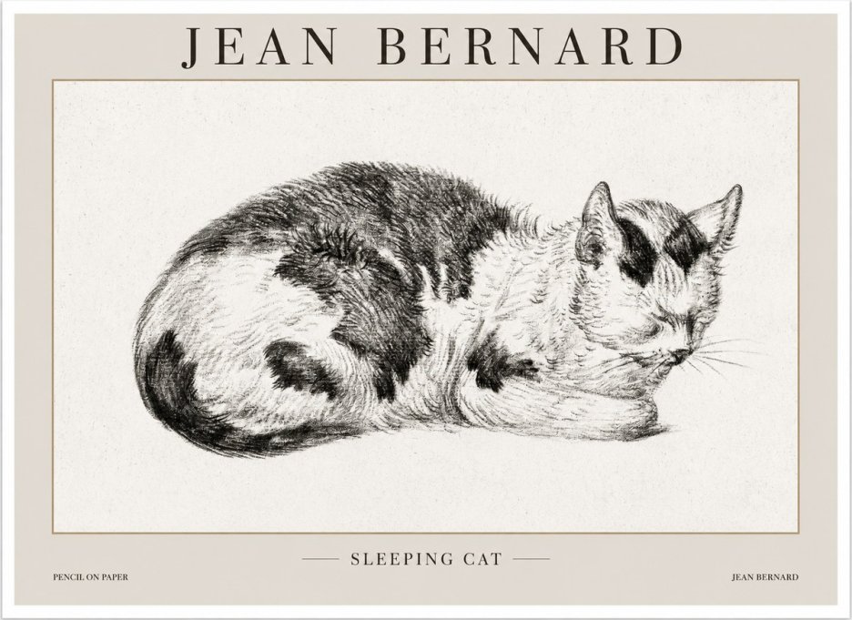 Jean Bernard Sleeping Cat I No1 - Poszter