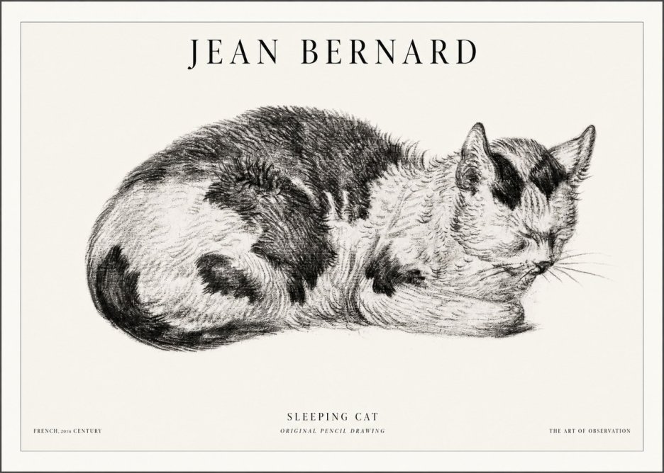 Jean Bernard Sleeping Cat I No5 - Poszter
