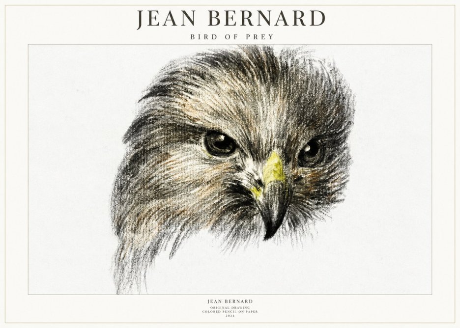Jean Bernard Bird of Prey No1 - Poszter