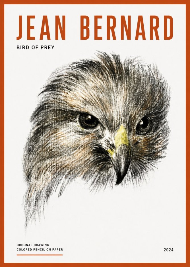 Jean Bernard Bird of Prey No5 - Poszter