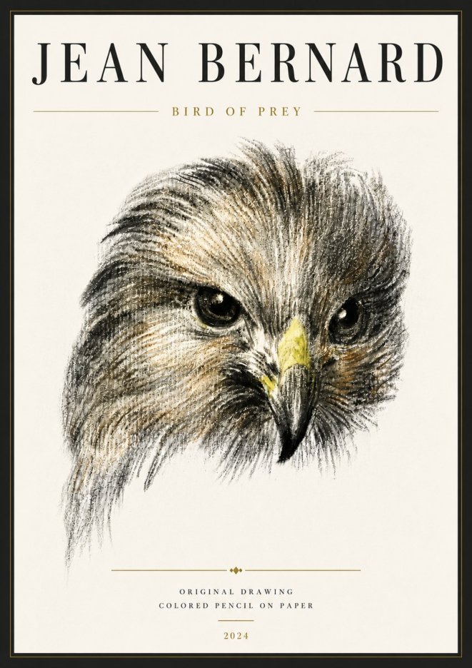 Jean Bernard Bird of Prey No6 - Poszter