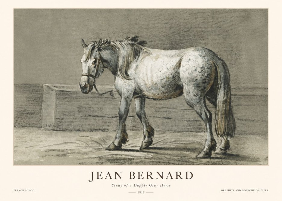 Jean Bernard Study of a Dapple Gray Horse No1 - Poszter