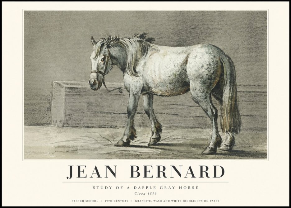 Jean Bernard Study of a Dapple Gray Horse No3 - Poszter