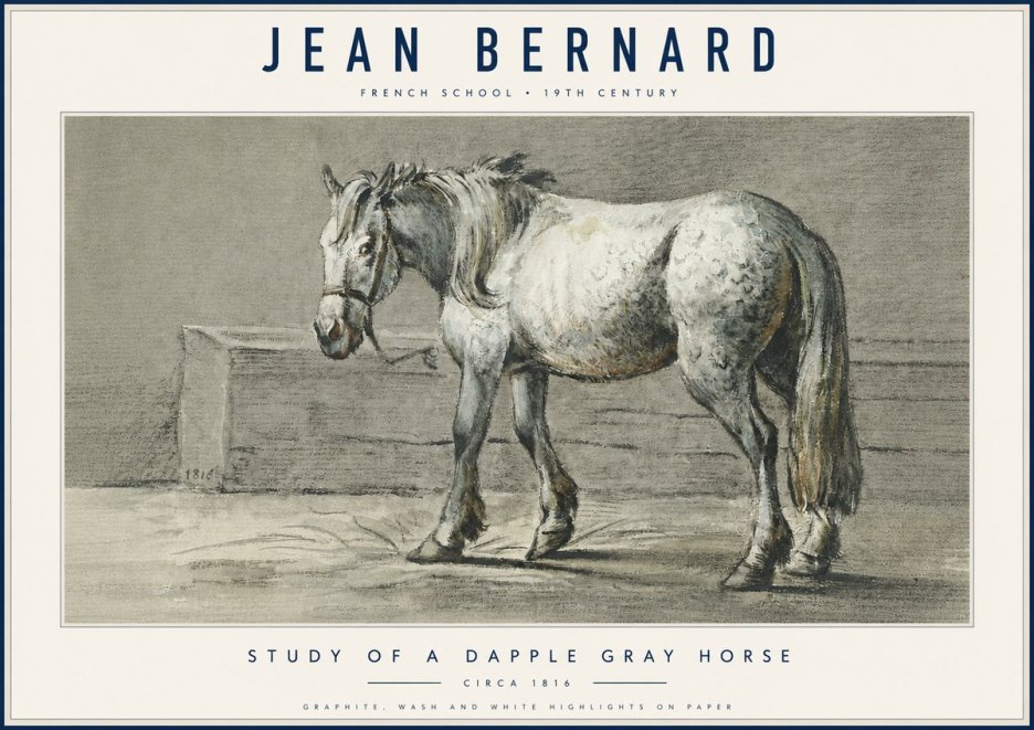 Jean Bernard Study of a Dapple Gray Horse No6 - Poszter