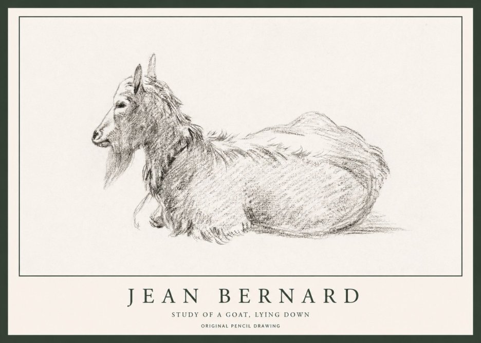 Jean Bernard Study of a Goat I No6 - Poszter