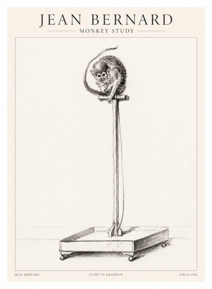 Jean Bernard Monkey Study No1 - Poszter