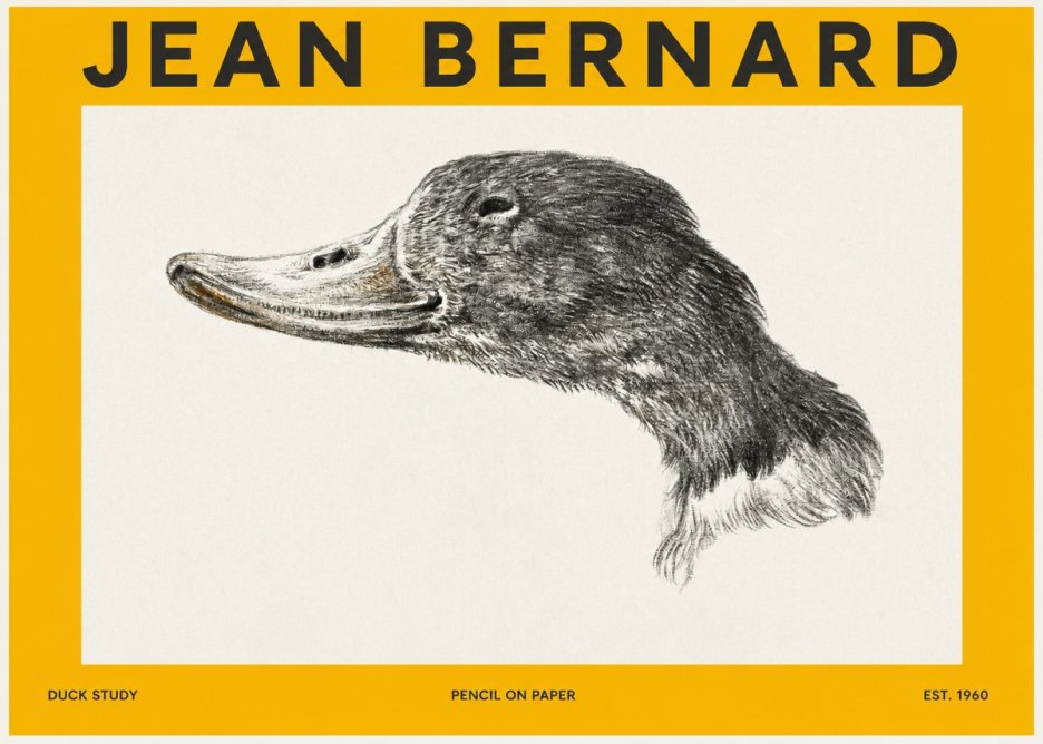 Jean Bernard Study of a Duck No3 - Poszter