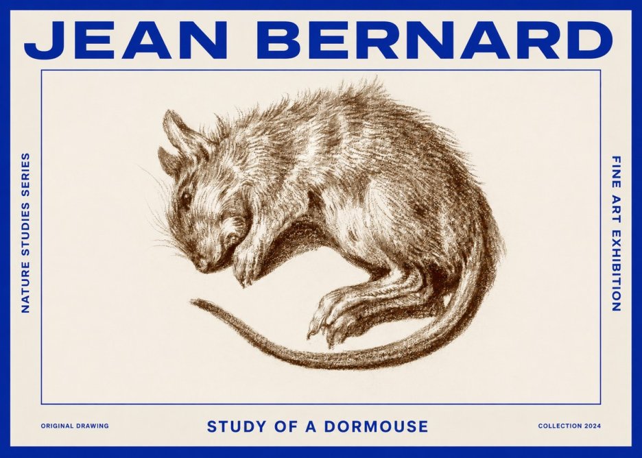 Jean Bernard Study of a Dormouse No2 - Poszter