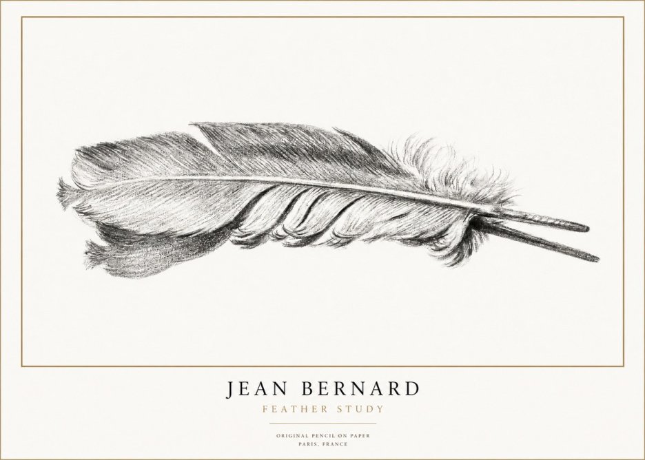 Jean Bernard Feather No3 - Poszter