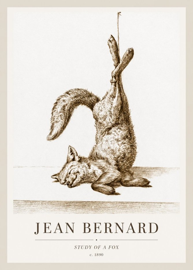 Jean Bernard Study of a Fox No1 - Poszter