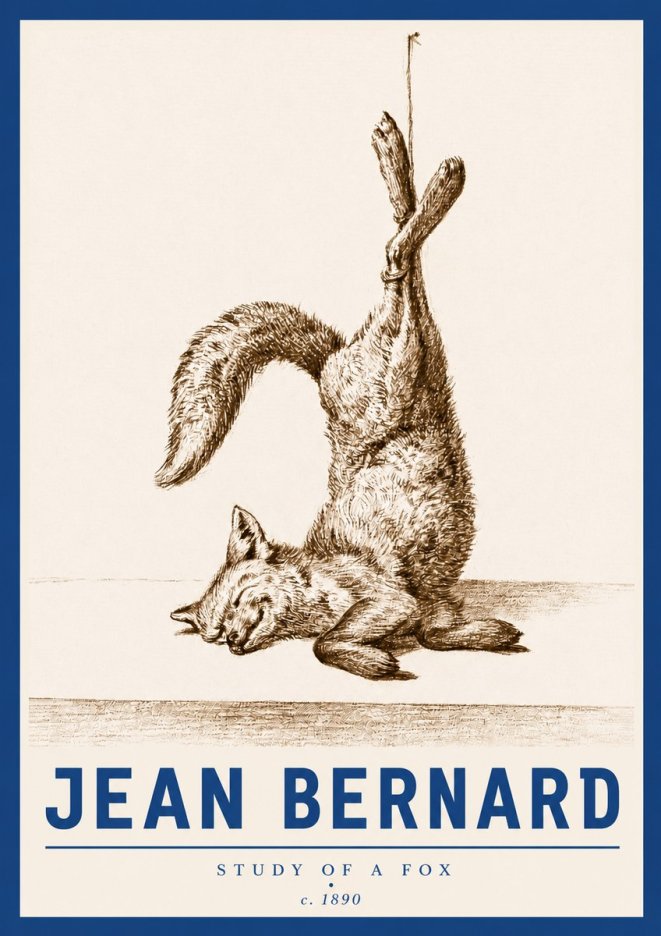 Jean Bernard Study of a Fox No4 - Poszter