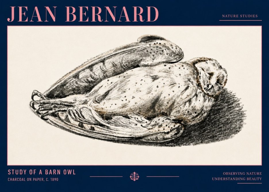 Jean Bernard Sleeping Owl No4 - Poszter