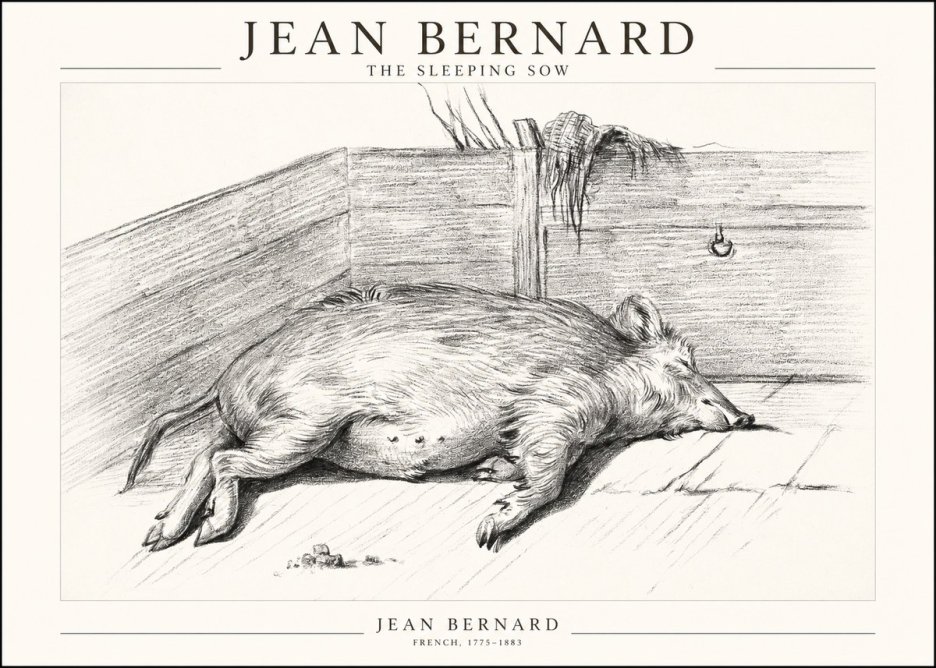 Jean Bernard The Sleeping Sow No1 - Poszter
