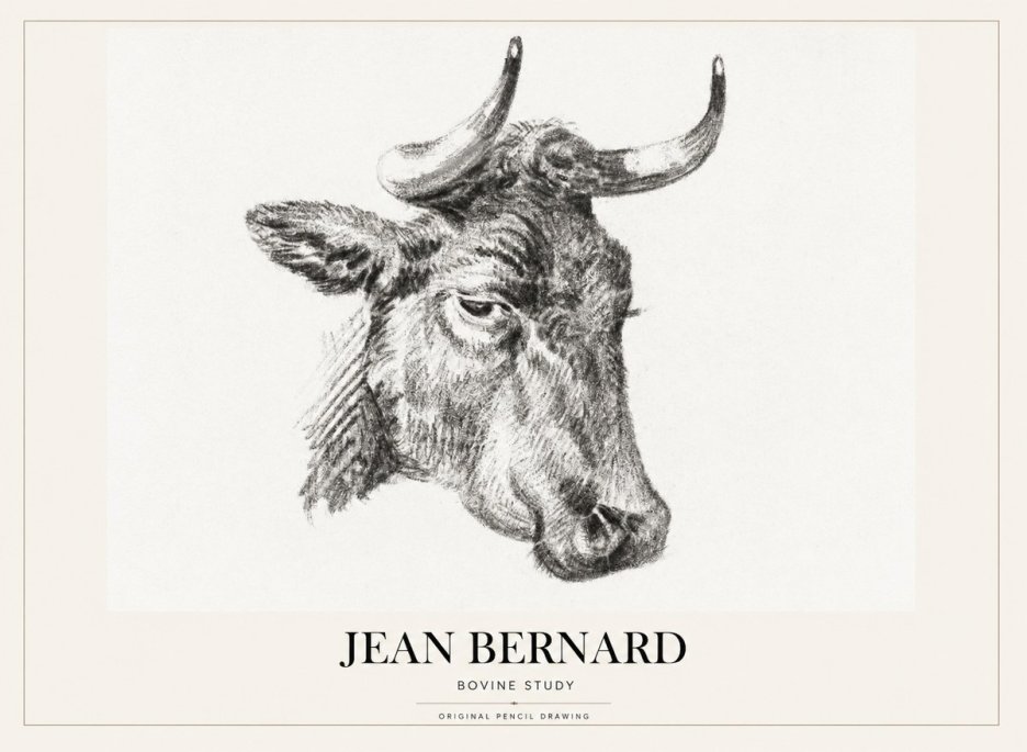Jean Bernard Bovine Study I No1 - Poszter