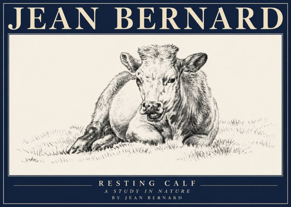 Jean Bernard Resting Calf I No4 - Poszter