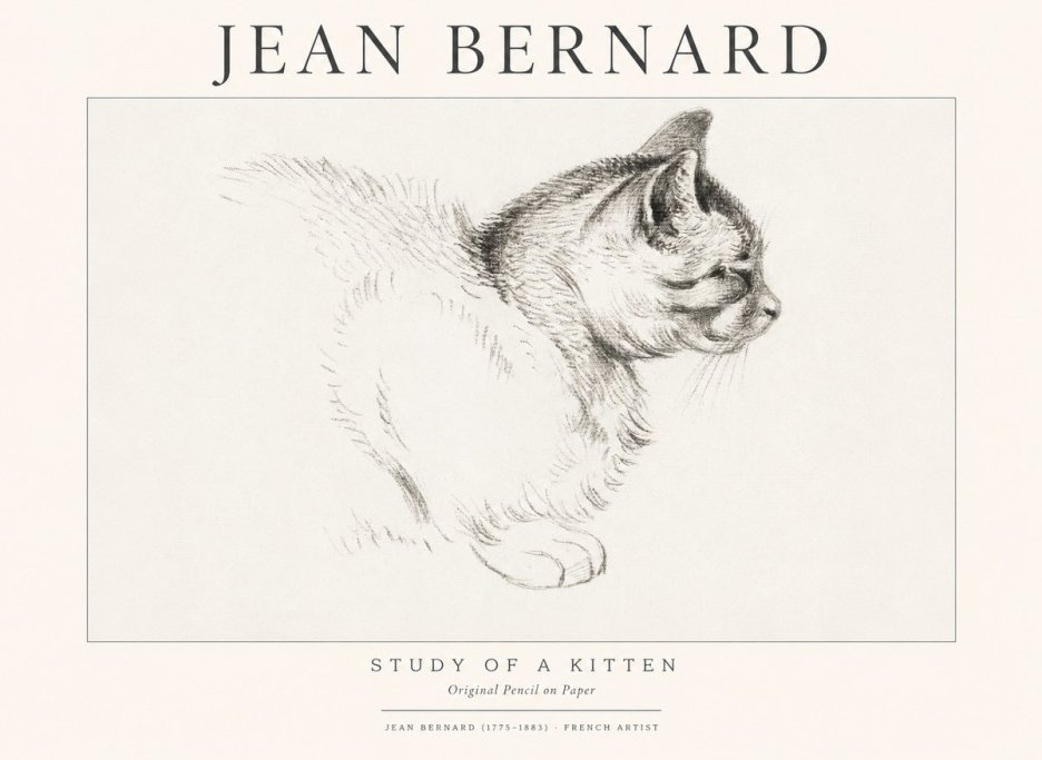 Jean Bernard Study of a Kitten II No1 - Poszter