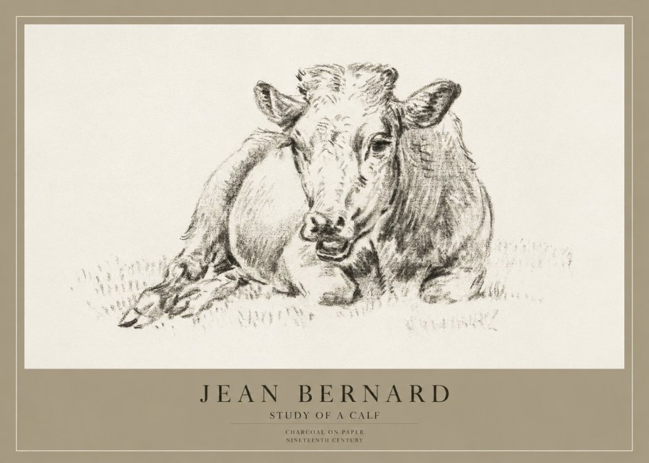 Jean Bernard Resting Calf II No4 - Poszter